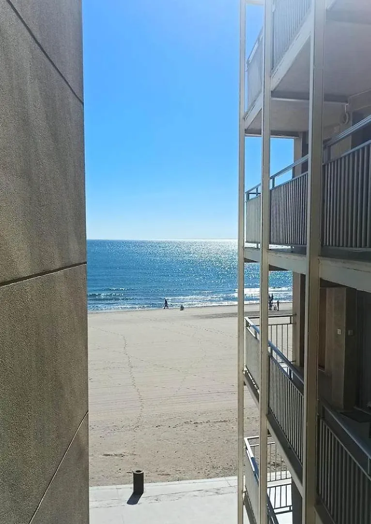 Studio En Bord De Mer La Pineda Apartment